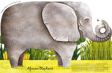 Big Book of Giant Animals, The Small Book of Tiny Animals: The Little Book of Tiny Animals (Big Book/Small Book) - Francesca Cosanti [KSIĄŻKA]