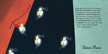 Big Book of Giant Animals, The Small Book of Tiny Animals: The Little Book of Tiny Animals (Big Book/Small Book) - Francesca Cosanti [KSIĄŻKA]
