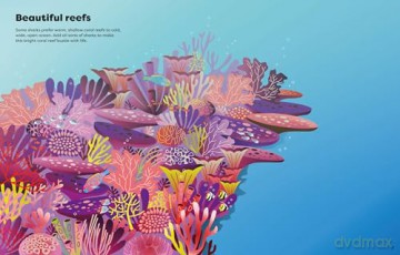 Big Sticker Book of Sharks (Sticker Books) (Big Sticker Books) - Alice James [KSIĄŻKA]