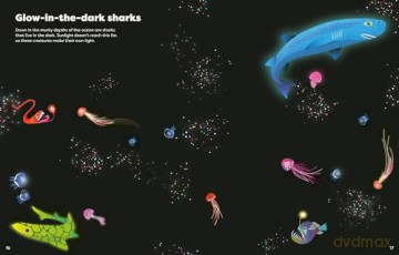 Big Sticker Book of Sharks (Sticker Books) (Big Sticker Books) - Alice James [KSIĄŻKA]