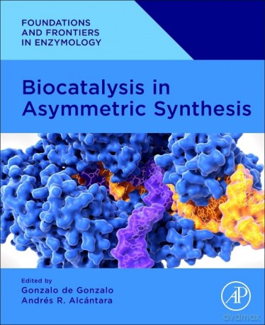 Biocatalysis in Asymmetric Synthesis (Foundations and Frontiers in Enzymology) - onzalo De Gonzalo [KSIĄŻKA]