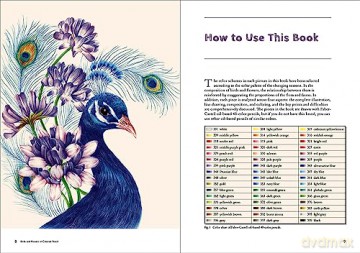 Birds and Flowers in Colored Pencil: Step-by-Step Tutorials and Techniques [KSIĄŻKA]