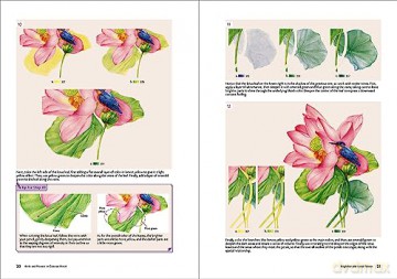 Birds and Flowers in Colored Pencil: Step-by-Step Tutorials and Techniques [KSIĄŻKA]