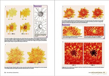 Birds and Flowers in Colored Pencil: Step-by-Step Tutorials and Techniques [KSIĄŻKA]