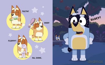 Bluey: Love from Bluey [KSIĄŻKA]