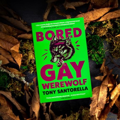 Bored Gay Werewolf: "An ungodly joy" Attitude Magazine - Tony Santorella [KSIĄŻKA]