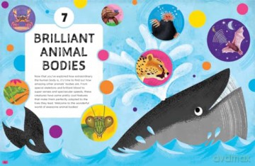Brilliant Bodies Inside and Out: Explore How Every Body Works (Little House of Science) - Little House/Science [KSIĄŻKA]