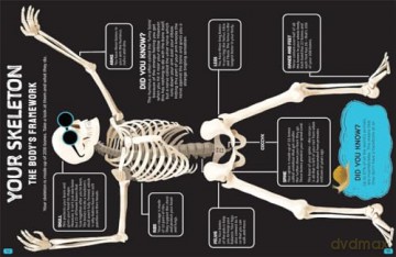 Brilliant Bodies Inside and Out: Explore How Every Body Works (Little House of Science) - Little House/Science [KSIĄŻKA]