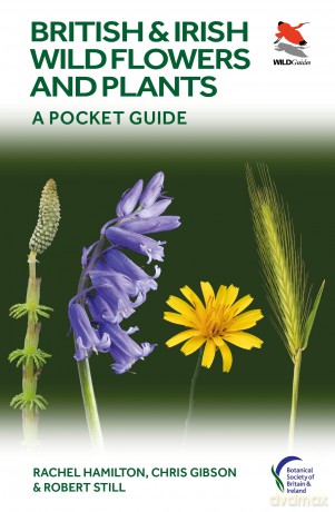 British and Irish Wild Flowers and Plants: A Pocket Guide (WILDGuides, 117) - R Et Al Hamilton [KSIĄŻKA]