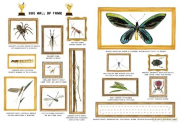 Bugs: A Skittery, Jittery History - Forster Miriam [KSIĄŻKA]