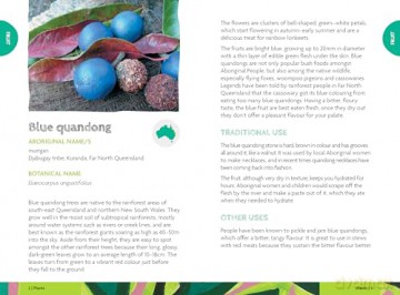 Bush Tukka Guide 2nd edition - Samantha Martin [KSIĄŻKA]