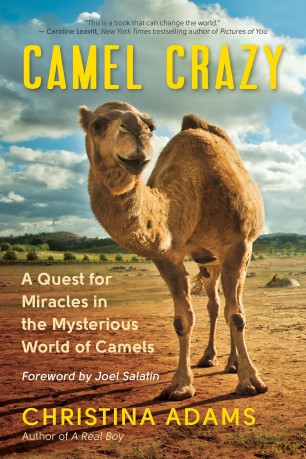 Camel Crazy: A Quest for Healing in the Secret World of Camels - Christina Adam [KSIĄŻKA]