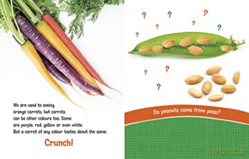 Can You Climb a Beanstalk: Questions and Answers About Farm Crops (Farm Explorer) - Katherine Rawson [KSIĄŻKA]