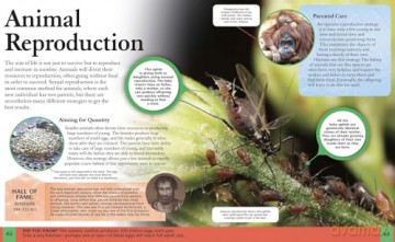 Children's Encyclopedia of Biology (Arcturus Children's Reference Library) - Tom Jackson [KSIĄŻKA]