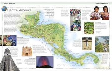 Children's Illustrated World Atlas (DK Children's Illustrated Reference) - Dk [KSIĄŻKA]
