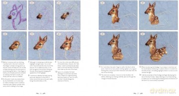 Chloe Giordano Needlepainted Woodland Animals: Exquisite embroidered art - Chloe Giordano [KSIĄŻKA]