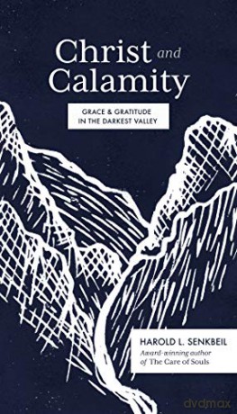 Christ and Calamity: Grace and Gratitude in the Darkest Valley [KSIĄŻKA]