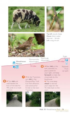 Cotswolds Short Walks Made Easy | Ordnance Survey | 10 Accessible Walks For Everybody | Guidebook | England | Walks | Adventure: 10 Leisurely Walks [KSIĄŻKA]