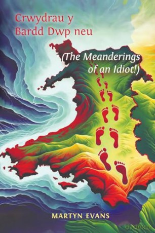 Crwydrau y Bardd Dwp neu/or The meanderings of an Idiot! - Martyn Evans [KSIĄŻKA]