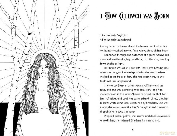Culhwch and Olwen - Catherine Fisher [KSIĄŻKA]