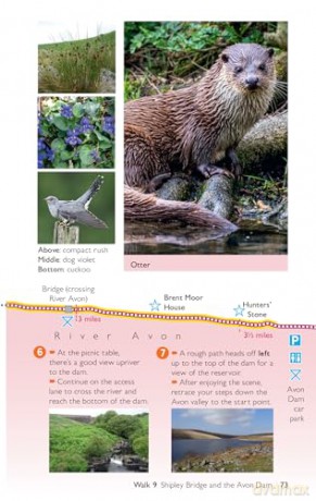 Dartmoor Short Walks Made Easy | Ordnance Survey | 10 Accessible Walks For Everybody | Guidebook | England | Walks | Adventure: 10 Leisurely Walks [KSIĄŻKA]