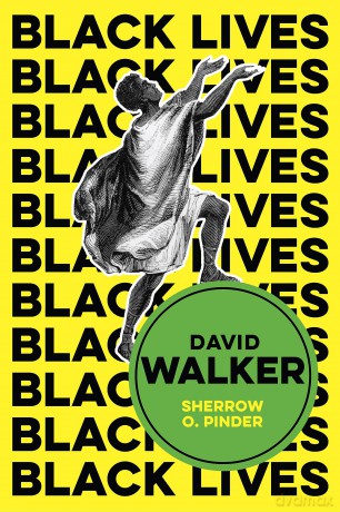 David Walker: The Politics of Racial Egalitarianism (Black Lives) - Sherrow O Pinder [KSIĄŻKA]