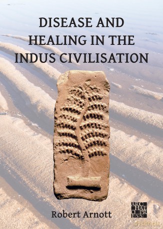Disease and Healing in the Indus Civilisation [KSIĄŻKA]