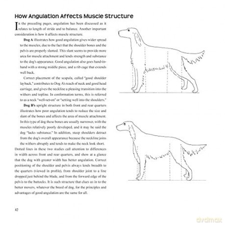 Dogsteps: A New Look, 3rd Edition (CompanionHouse Books) Definitive Manual to Canine Movement, Dog Anatomy, and Natural Gaits of Purebred Dogs; for Breeders, Judges, and Anyone Wanting to Show Dogs - Elliott Rachel [KSIĄŻKA]