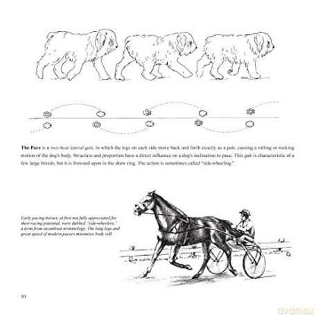 Dogsteps: A New Look, 3rd Edition (CompanionHouse Books) Definitive Manual to Canine Movement, Dog Anatomy, and Natural Gaits of Purebred Dogs; for Breeders, Judges, and Anyone Wanting to Show Dogs - Elliott Rachel [KSIĄŻKA]