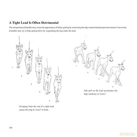 Dogsteps: A New Look, 3rd Edition (CompanionHouse Books) Definitive Manual to Canine Movement, Dog Anatomy, and Natural Gaits of Purebred Dogs; for Breeders, Judges, and Anyone Wanting to Show Dogs - Elliott Rachel [KSIĄŻKA]