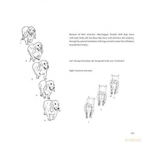 Dogsteps: A New Look, 3rd Edition (CompanionHouse Books) Definitive Manual to Canine Movement, Dog Anatomy, and Natural Gaits of Purebred Dogs; for Breeders, Judges, and Anyone Wanting to Show Dogs - Elliott Rachel [KSIĄŻKA]