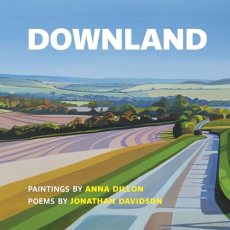 Downland: Paintings by Anna Dillon, Poems by Jonathan Davidson - Anna Dillon [KSIĄŻKA]