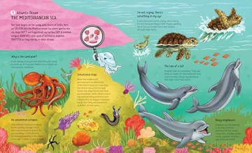 Drop into the Ocean: A Tour of the World's Oceans and Seas - Karen Wasson [KSIĄŻKA]