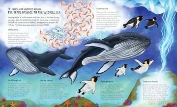 Drop into the Ocean: A Tour of the World's Oceans and Seas - Karen Wasson [KSIĄŻKA]