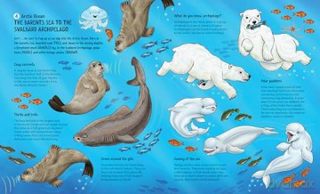 Drop into the Ocean: A Tour of the World's Oceans and Seas - Karen Wasson [KSIĄŻKA]
