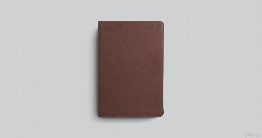 ESV Chronological Bible (Trutone, Brown): English Standard Version, Brown, Trutone, Chronological Bible [KSIĄŻKA]