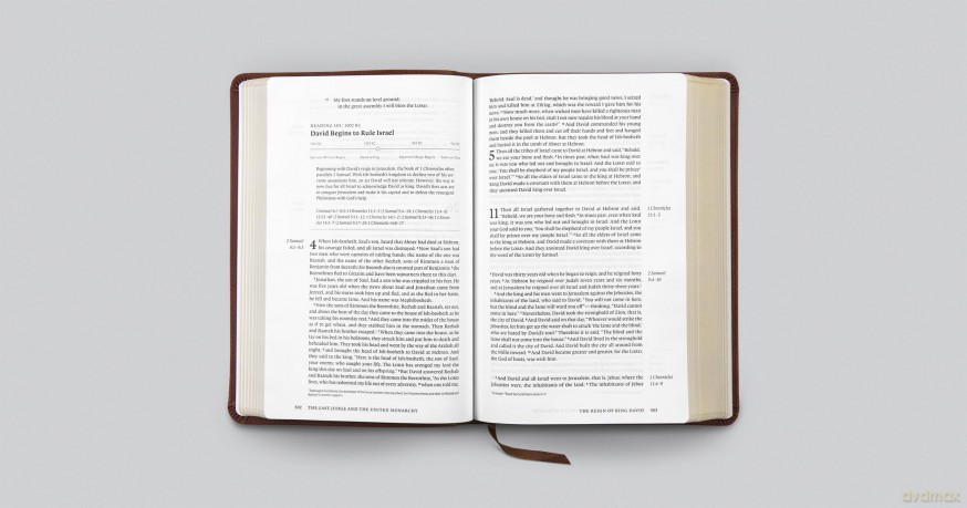 ESV Chronological Bible (Trutone, Brown): English Standard Version, Brown, Trutone, Chronological Bible [KSIĄŻKA]