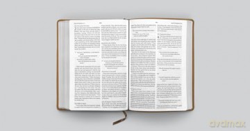 ESV Large Print Bible (TruTone, Nubuck Caramel, Fleur-de-lis Design): Esv Bible Trutone, Nubuck Caramel, Fleur-de-lis Design [KSIĄŻKA]