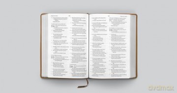 ESV Large Print Bible (TruTone, Nubuck Caramel, Fleur-de-lis Design): Esv Bible Trutone, Nubuck Caramel, Fleur-de-lis Design [KSIĄŻKA]