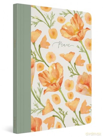ESV Prayer Journal: 30 Days on Peace: 30 Days on Peace (Paperback) [KSIĄŻKA]