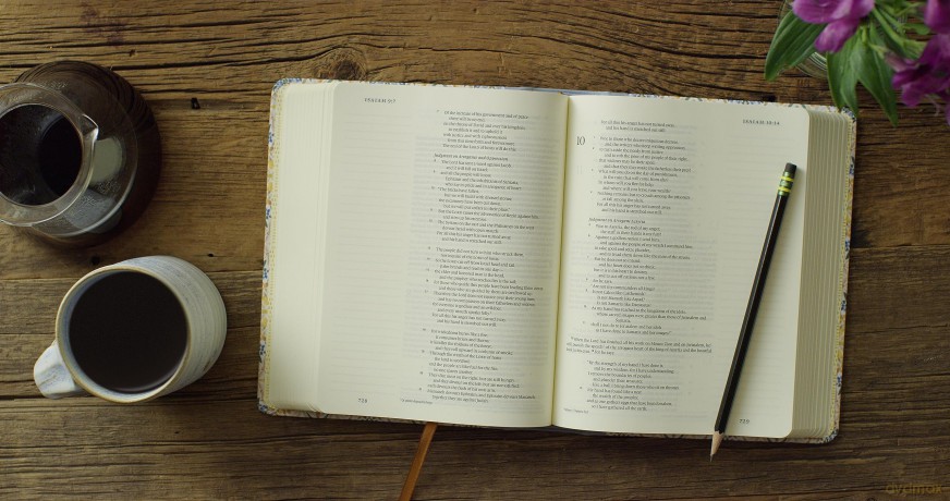 ESV Single Column Journaling Bible, Artist Series (Cloth Over Board, Jessica Bush, Flourish) [KSIĄŻKA]