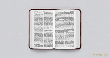 ESV Vest Pocket New Testament with Psalms and Proverbs (TruTone, Chestnut): English Standard Version, Chestnut, TruTone, Vest Pocket, New Testament With Psalms and Proverbs [KSIĄŻKA]