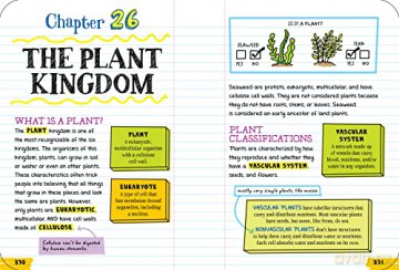 Everything You Need to Ace Biology in One Big Fat Notebook (Big Fat Notebooks) [KSIĄŻKA]