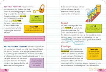 Everything You Need to Ace Biology in One Big Fat Notebook (Big Fat Notebooks) [KSIĄŻKA]