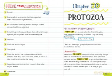 Everything You Need to Ace Biology in One Big Fat Notebook (Big Fat Notebooks) [KSIĄŻKA]