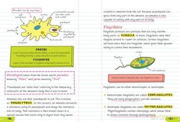 Everything You Need to Ace Biology in One Big Fat Notebook (Big Fat Notebooks) [KSIĄŻKA]