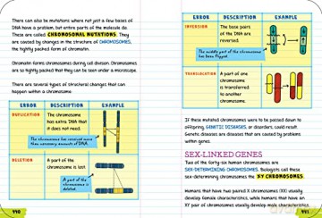 Everything You Need to Ace Biology in One Big Fat Notebook (Big Fat Notebooks) [KSIĄŻKA]