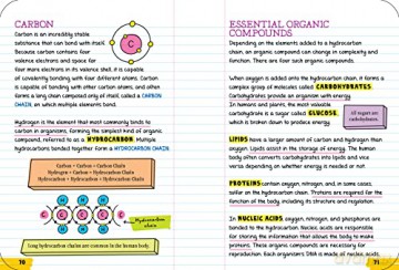 Everything You Need to Ace Biology in One Big Fat Notebook (Big Fat Notebooks) [KSIĄŻKA]