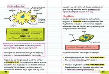 Everything You Need to Ace Biology in One Big Fat Notebook (Big Fat Notebooks) [KSIĄŻKA]