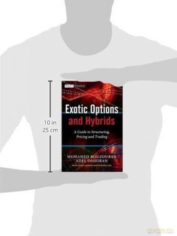 Exotic Options and Hybrids: A Guide to Structuring, Pricing and Trading: 471 (The Wiley Finance Series) - Mohamed Bouzoubaa [KSIĄŻKA]